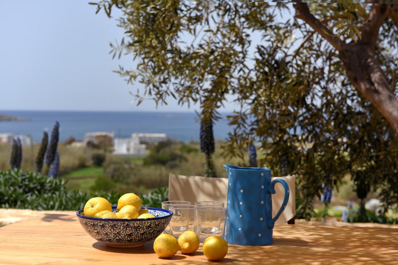 Good Life Greece Eco Villas Posidhonia  Екстер'єр фото