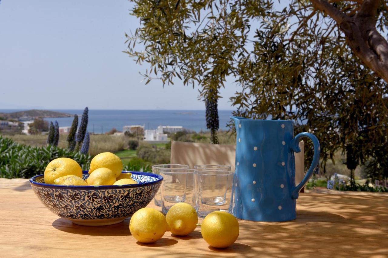 Good Life Greece Eco Villas Posidhonia  Екстер'єр фото