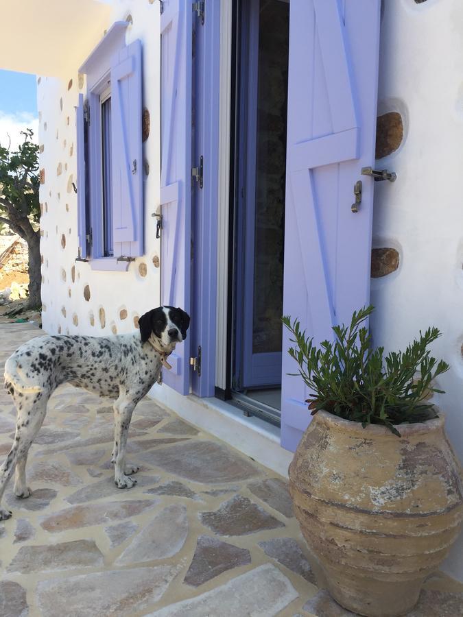 Good Life Greece Eco Villas Posidhonia  Екстер'єр фото