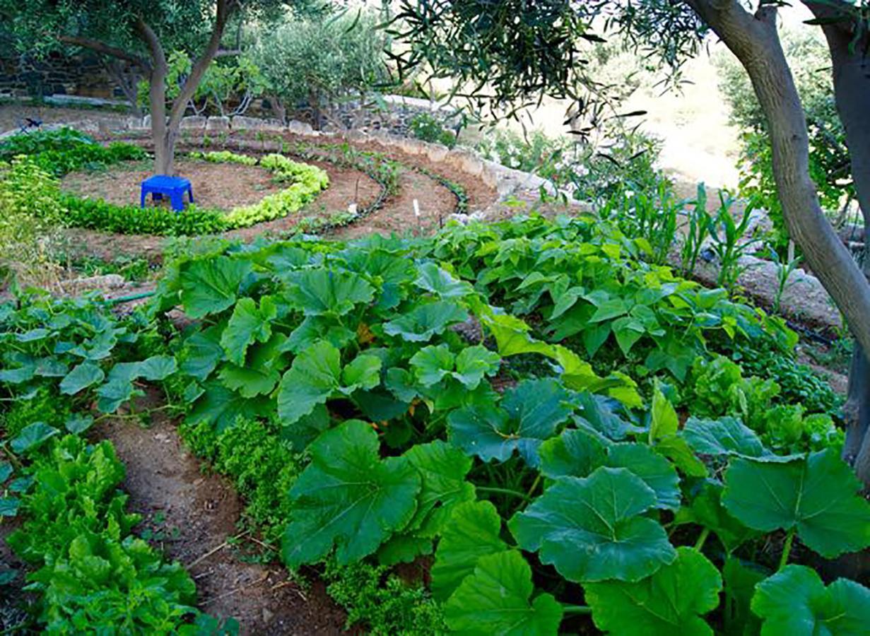 Good Life Greece Eco Villas Posidhonia  Екстер'єр фото
